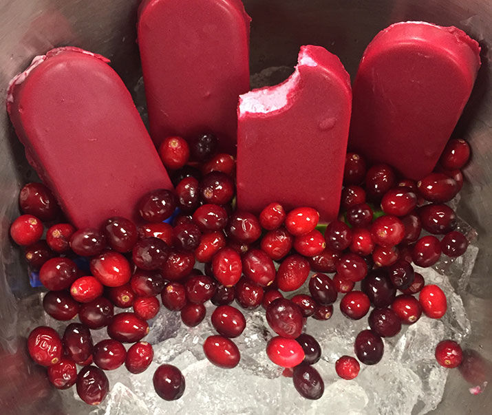 Cranberry frozen bars in ice