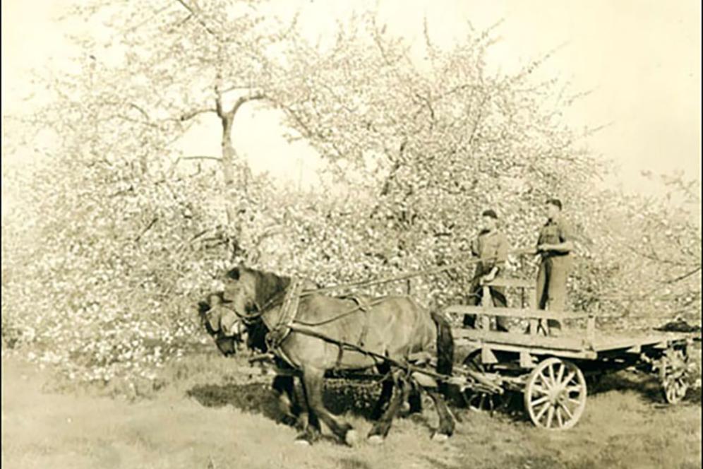 Tow men in a flat bed pulled by a horse.