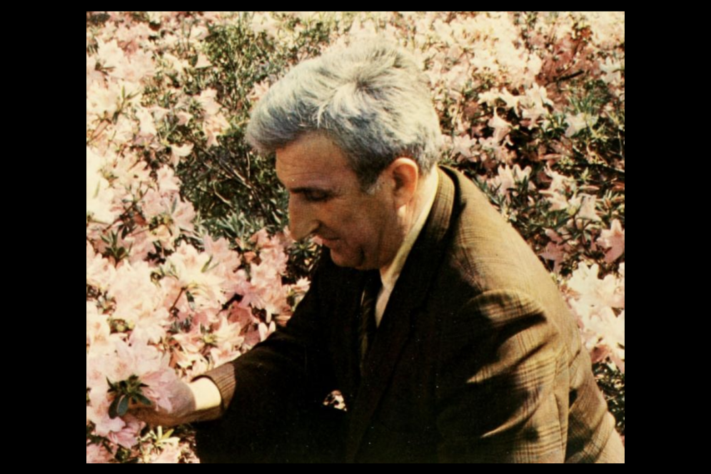 Dr Feldstein in flowers 1972