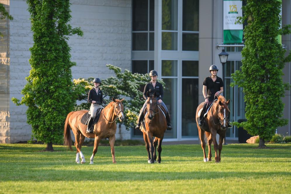 DelVal Equine