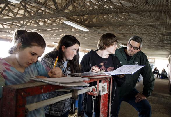 Students taking notes in the livestock barn with a professor