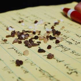 A close-up photos of notepaper with notes, a pen and some grains of dirt