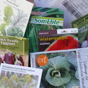 A variety of seed packets.