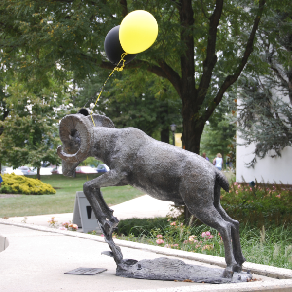 A statue of Delaware Valley University's mascot, a ram, has a festive gold balloon attached to it on Move-In Day.