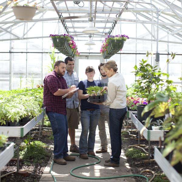 In a greenhouse, four students and an instructor in a living classroom.