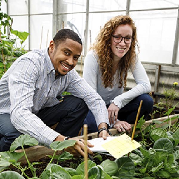 2 students working in a greenhouse