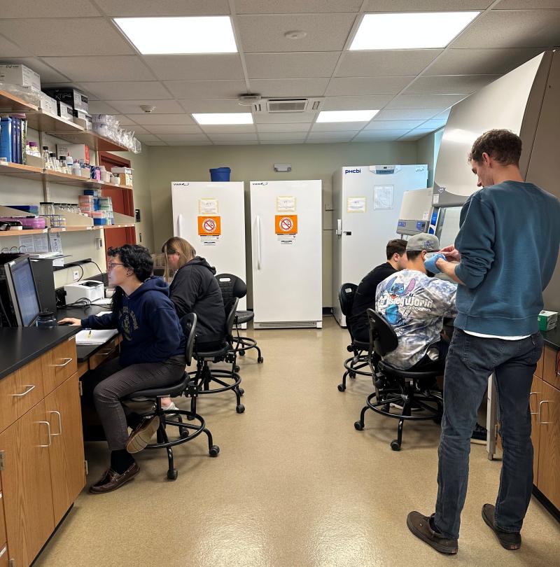 Cannabis research lab team work 