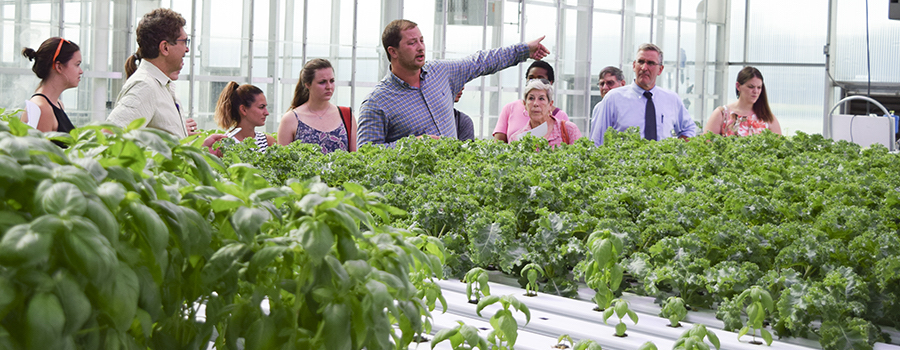 Chris Filling leads a tour of DelVal’s greenhouses. 