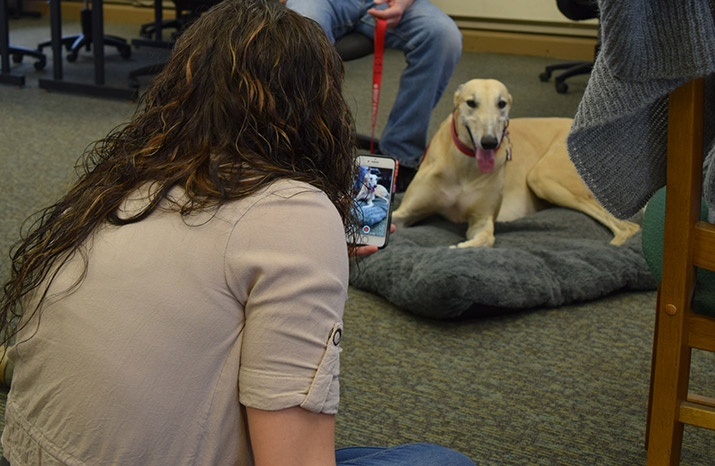 A student takes a video of therapy dog on a phone.
