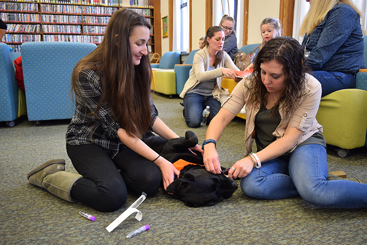 Students take a saliva sample from a therapy dog.
