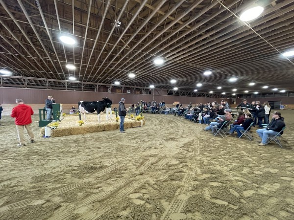 2025 DVU Dairy Sale