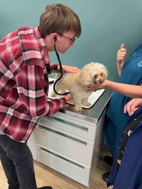 Inspire U! explores veterinary sciences