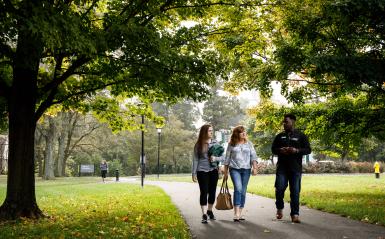 Three students walking on a campus path with flowering trees in the foreground.