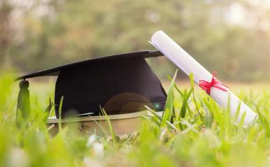 Graduation cap and diploma on sunny day in a field of grass 