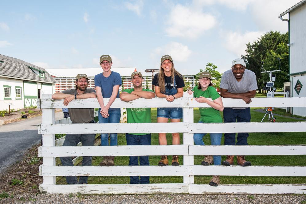 six students standing on a fence smiling