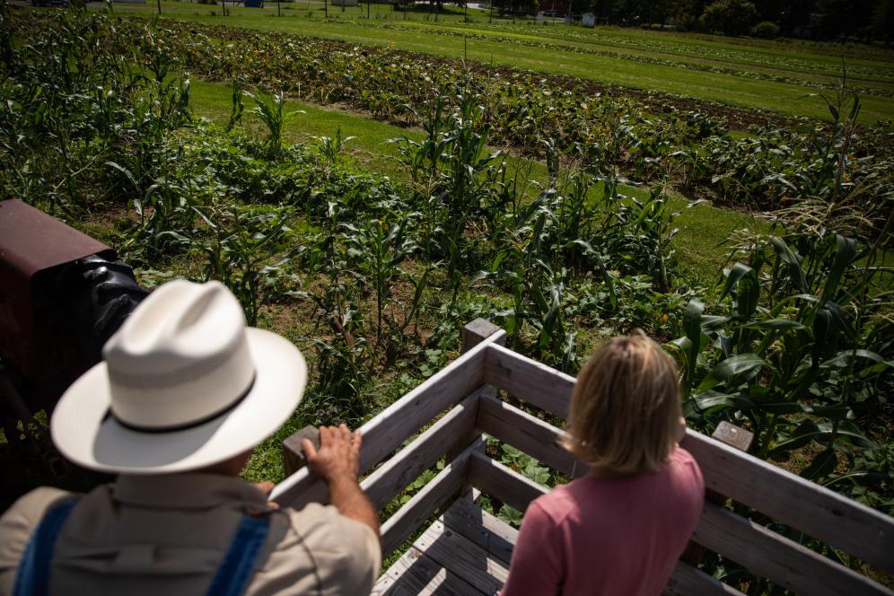 A view of the crop field at roth. Two people are in the back of tractor looking out at the field. 