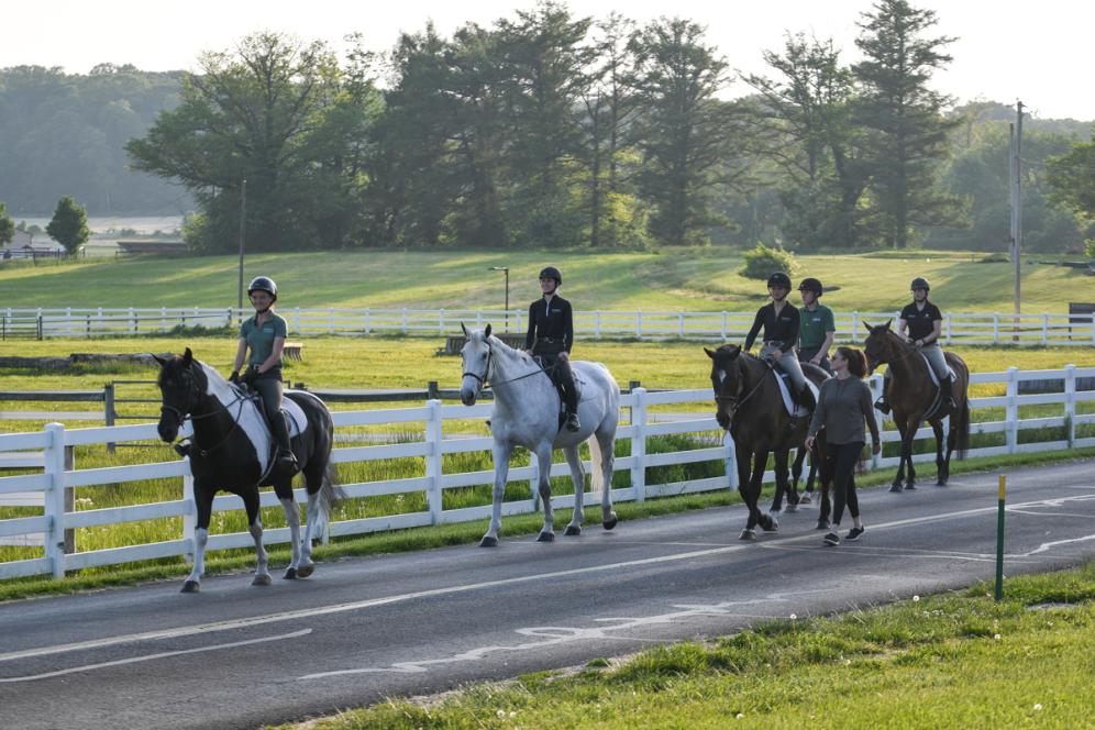 Several tudents are riding horses by road at the Equine Center.