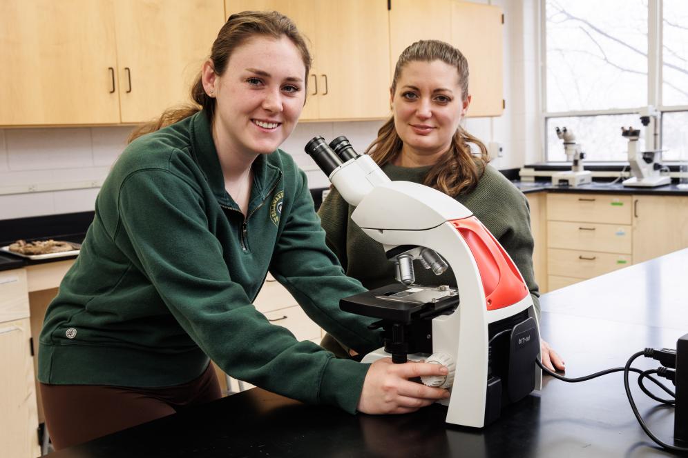 A student is examining and dissecting a snake in the lab with Dr. Reichner.