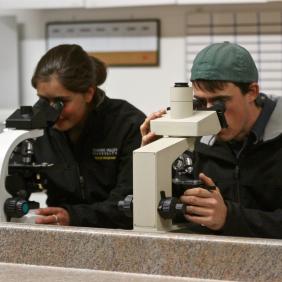 Students examine slides on microscopes