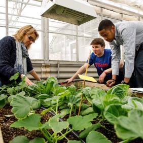 Students in the greenhouse.