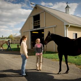 Equine Science