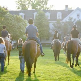 Equine Management