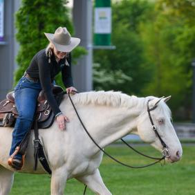 Equine Management