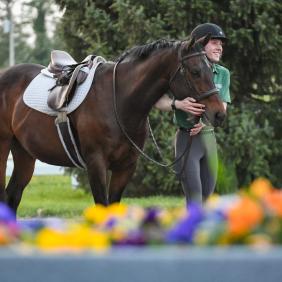 Equine Management