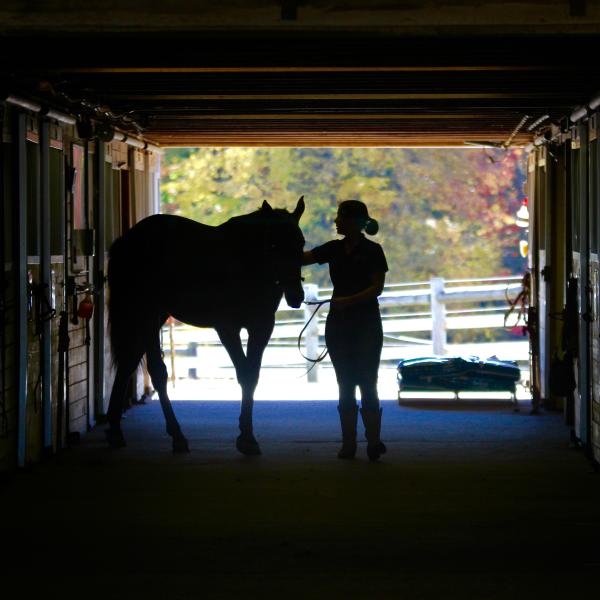 Department of Equine Science and Management