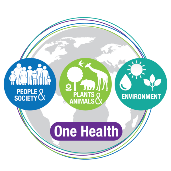 one health logo