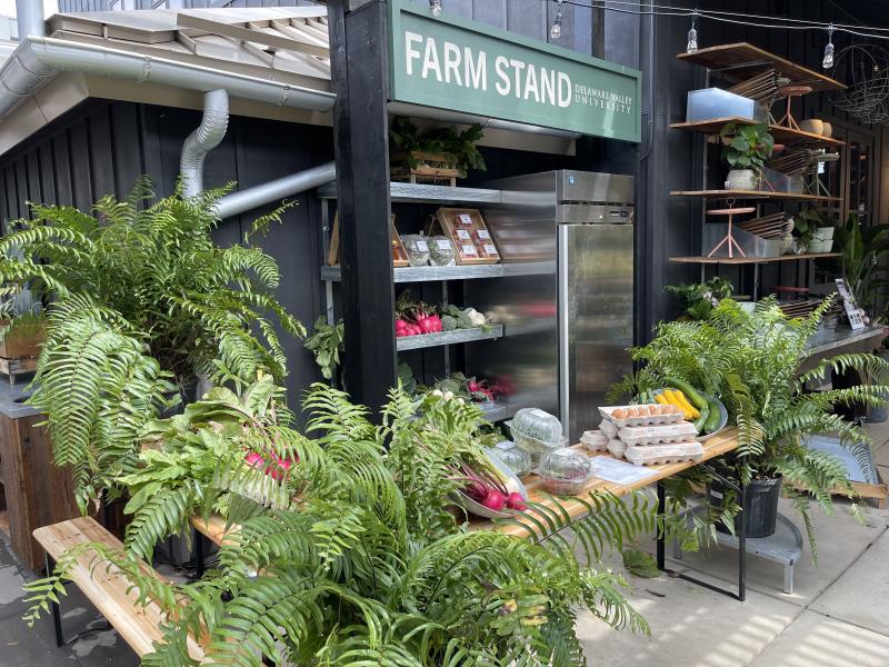 Terrain at DelVal Farm Stand with vegetables and refrigerated goods. 