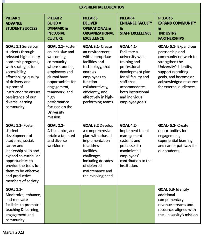 An infographic describing the pillars of DelVal's strategic plan.